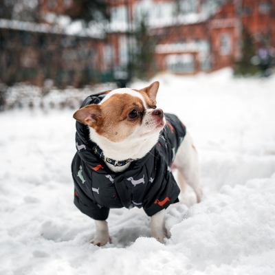 Зимний комбинезон куртка для маленьких собак Terry черный XL-4
